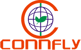Логотип Connfly